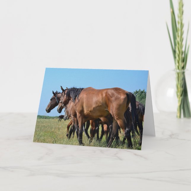 Beautiful Bay Horses Card (Front)