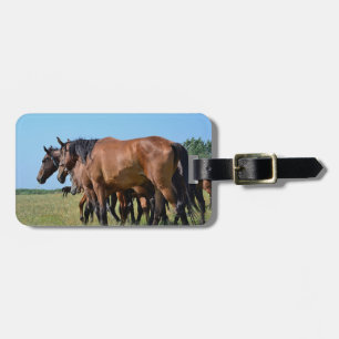 Beautiful Bay Horses Luggage Tag
