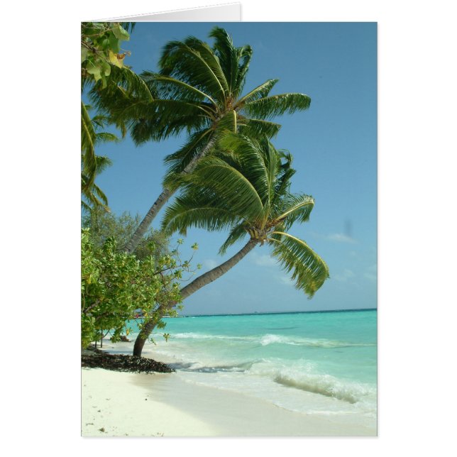 Beautiful Beach, Maldives (Front)