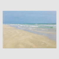 Beautiful Beach Seaside Sandpiper Photography