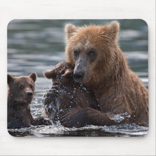 Beautiful Bear and Her Cubs Mouse Pad