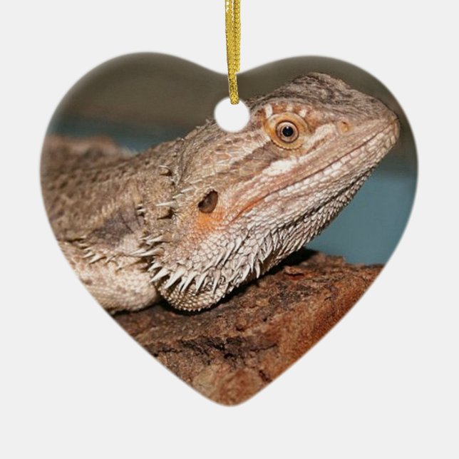 Beautiful Bearded Dragon Ceramic Tree Decoration (Front)