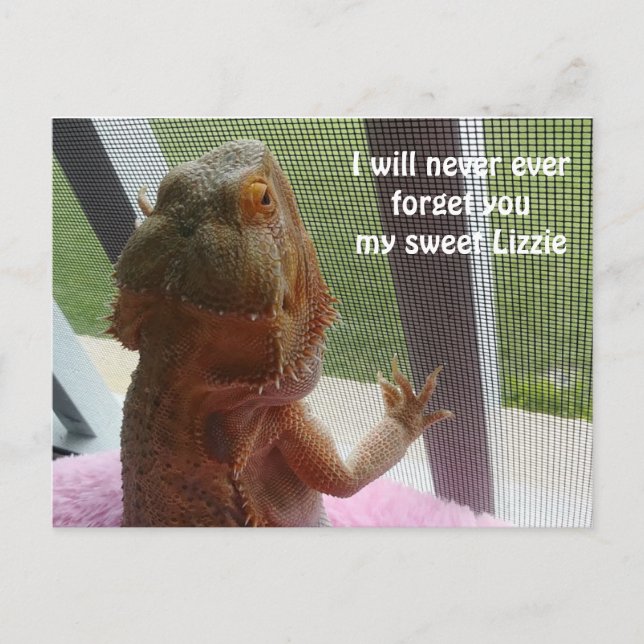 Beautiful Bearded Dragon Pet Memorial Picture Postcard (Front)