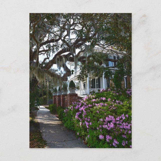 Beautiful Beaufort, South Carolina Postcard (Front)