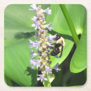 Beautiful Bee Coaster Set