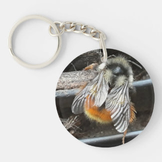 Beautiful Bee Key Chain