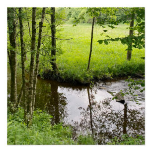 Beautiful belgian forest and river, travel poster