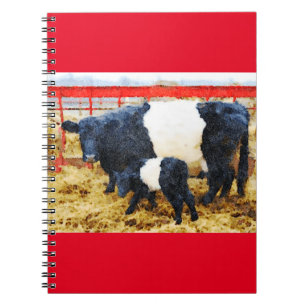 Beautiful Belted Galloway cow and calf watercolour Notebook
