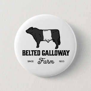 Beautiful Belted Galloway cow round badge or desig
