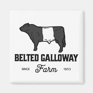 Beautiful Belted Galloway cow round badge or desig Magnet
