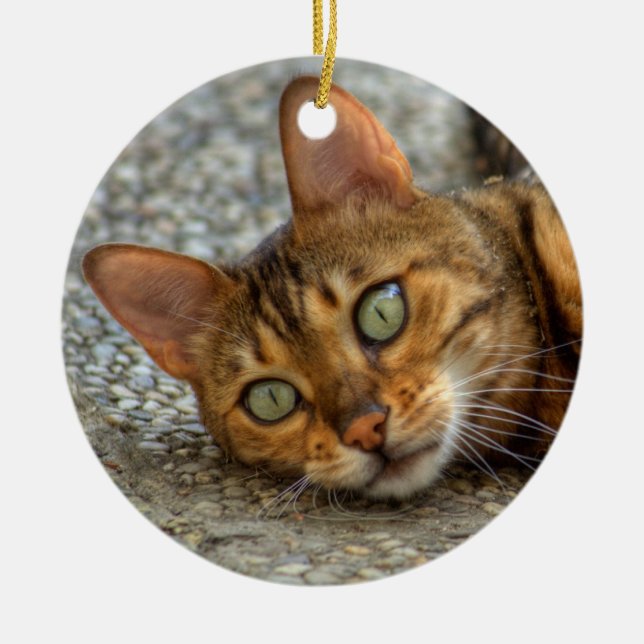 Beautiful Bengal Cat Ceramic Tree Decoration (Front)