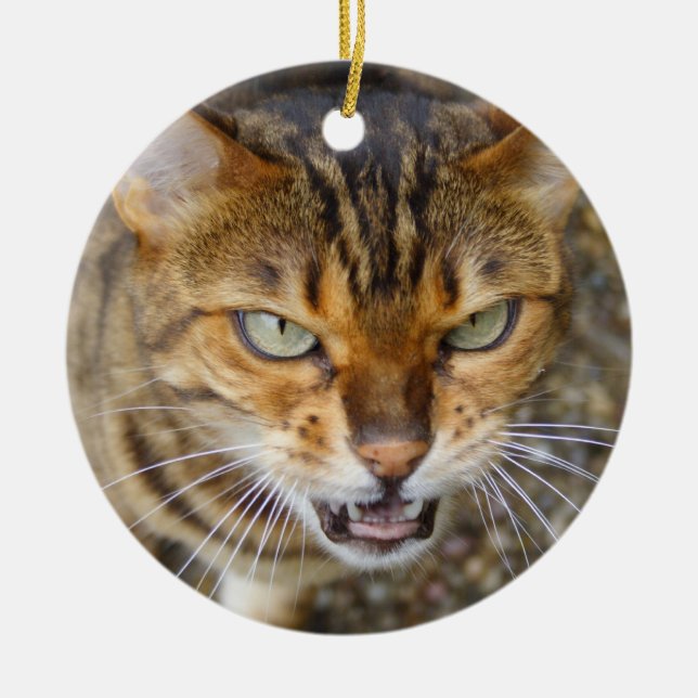 Beautiful Bengal Cat Ceramic Tree Decoration (Front)