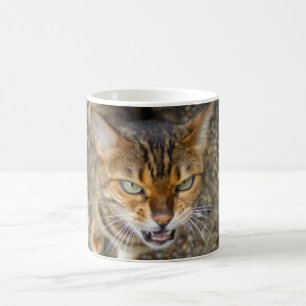 Beautiful Bengal Cat Coffee Mug