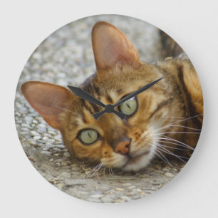 Beautiful Bengal Cat Large Clock