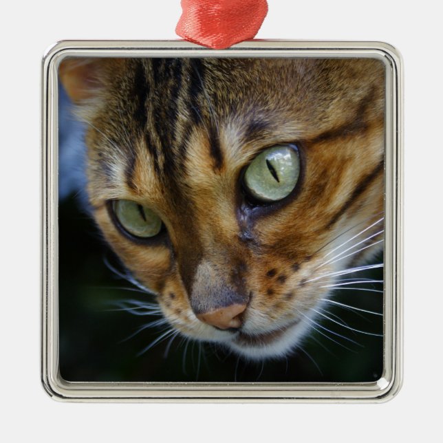 Beautiful Bengal Cat Metal Tree Decoration (Front)