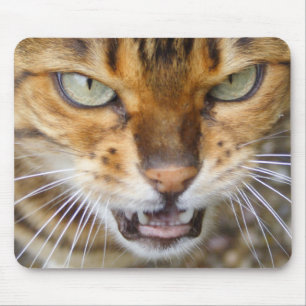 Beautiful Bengal Cat Mouse Pad