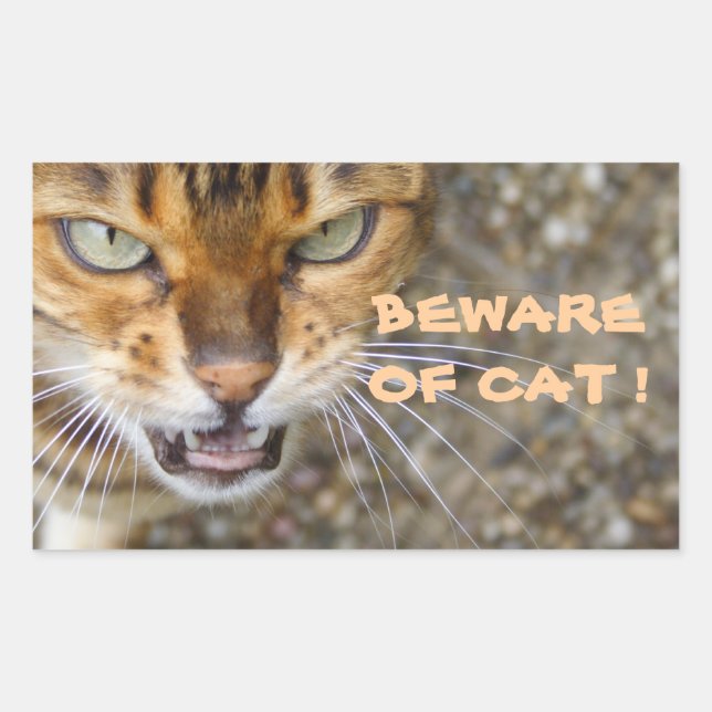 Beautiful Bengal Cat Rectangular Sticker (Front)