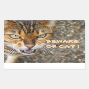 Beautiful Bengal Cat Rectangular Sticker