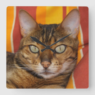 Beautiful Bengal Cat Square Wall Clock