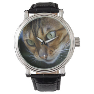Beautiful Bengal Cat Watch
