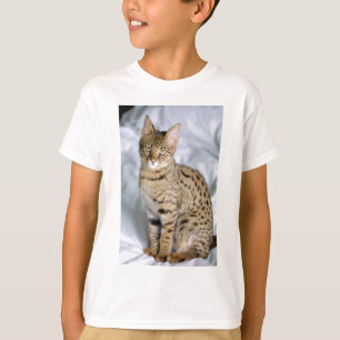 Beautiful Bengal Cute Cat Face T-Shirt