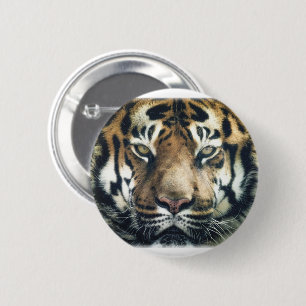 Beautiful Bengal Tiger Face Photo 6 Cm Round Badge