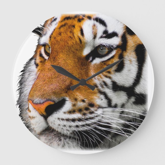 Beautiful Bengal Tiger Face Photo Large Clock (Front)