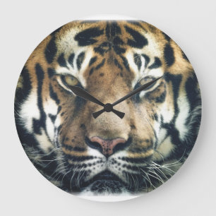 Beautiful Bengal Tiger Face Photo Large Clock