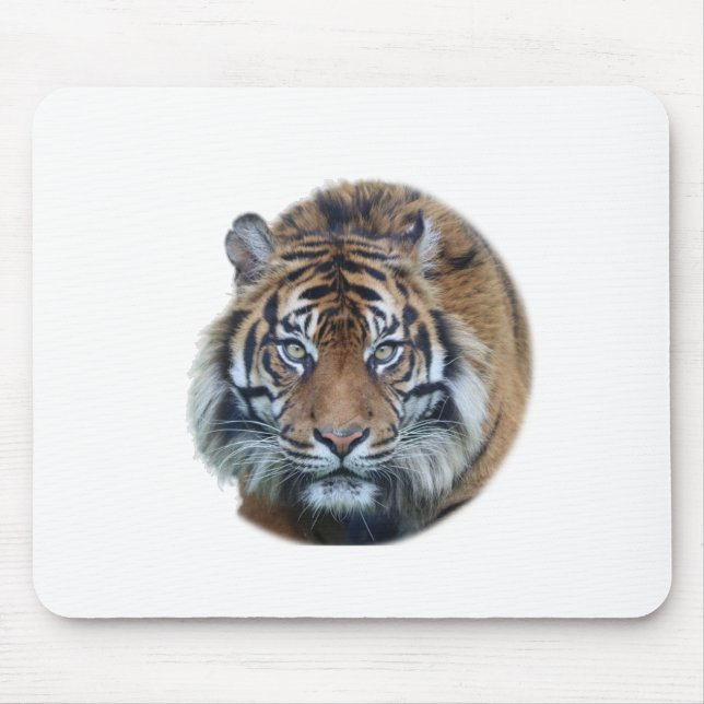 Beautiful Bengal Tiger Face Photo Mouse Pad (Front)