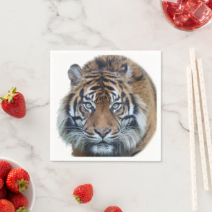 Beautiful Bengal Tiger Face Photo Napkin