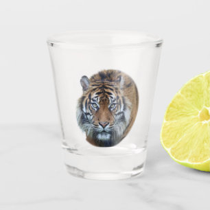 Beautiful Bengal Tiger Face Photo Shot Glass