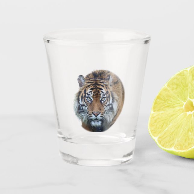 Beautiful Bengal Tiger Face Photo Shot Glass (Front)