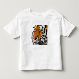 Beautiful Bengal Tiger Face Photo Toddler T-Shirt