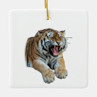 Beautiful Bengal Tiger Face & Teeth Photo Ceramic Ornament