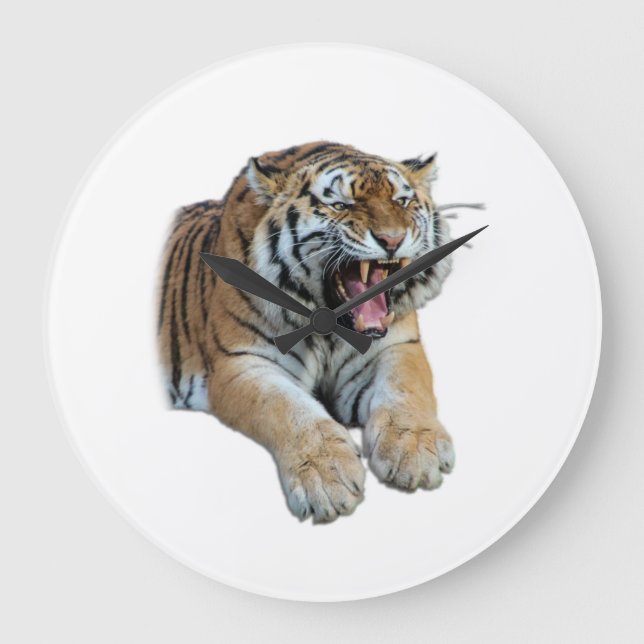 Beautiful Bengal Tiger Face & Teeth Photo Large Clock (Front)