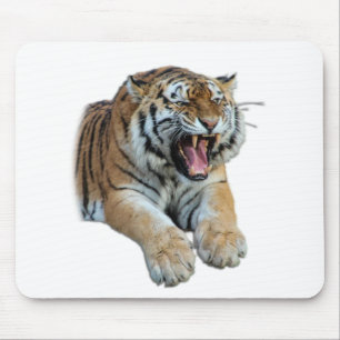 Beautiful Bengal Tiger Face & Teeth Photo Mouse Pad