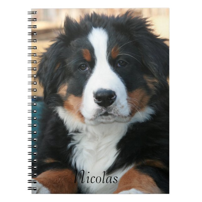 Beautiful Bernese Mountain Dog Notebook (Front)