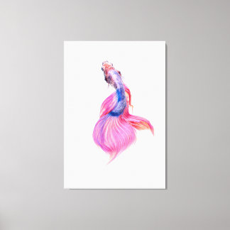 Beautiful Betta Fish Canvas Print