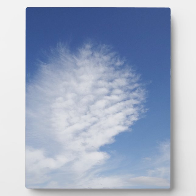 Beautiful, big  cloud plaque (Front)