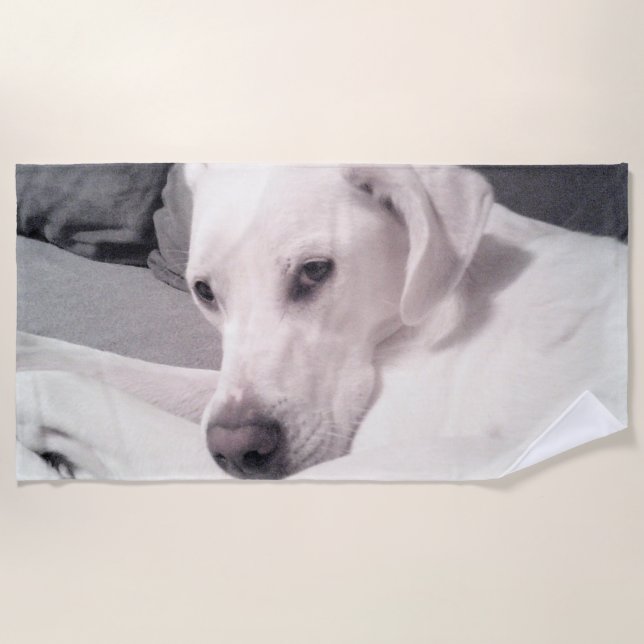 Beautiful Big White Dog Face Grey Beach  Towel (Front)