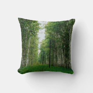 Beautiful Birch Tree Forest Art Cushion
