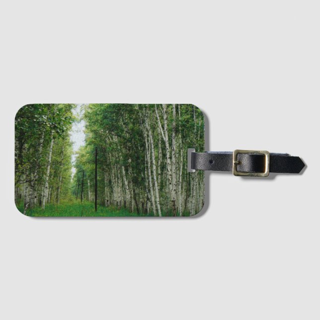 Beautiful Birch Tree Forest Art Luggage Tag (Front Horizontal)