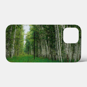 Beautiful Birch Tree Forest iPhone 13 Mini Case