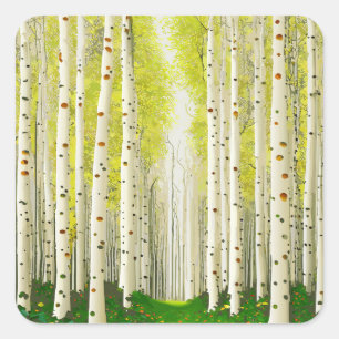 Beautiful Birch Tree Forest Landscape Square Sticker