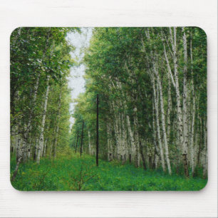 Beautiful Birch Tree Forest Mouse Pad