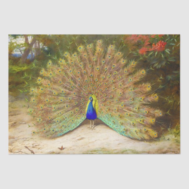 Beautiful Bird Colourful Peacock Vintage Painting Tissue Paper (Front)
