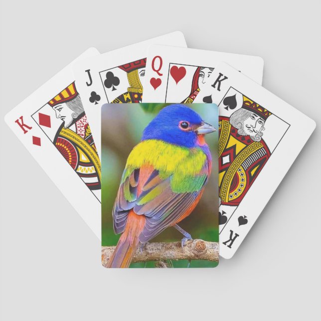 Beautiful Bird Deck of Playing Cards (Back)