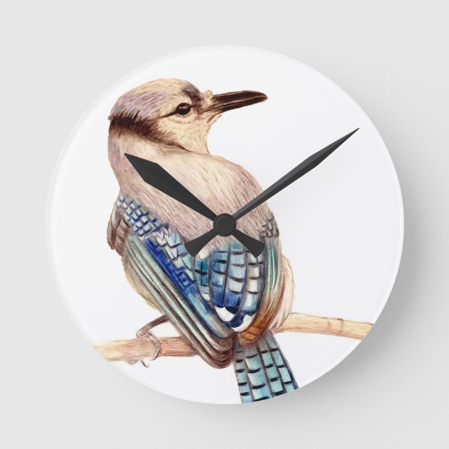 Beautiful Bird   Round Clock (Front)