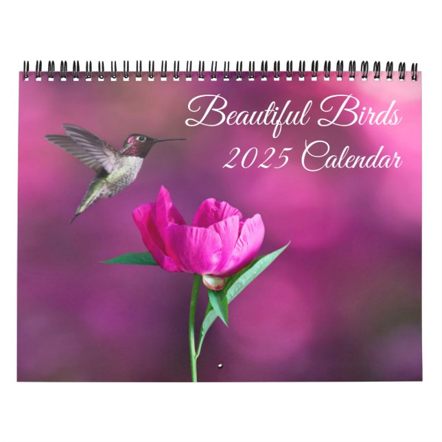 Beautiful Birds Calendar (Cover)
