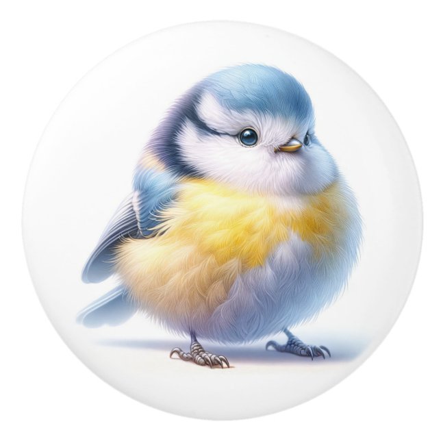 Beautiful Birds  Ceramic Knob (Front)